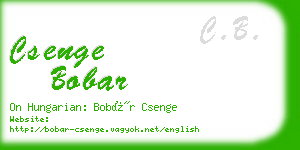 csenge bobar business card
